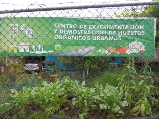 Sviluppo socio-sanitario