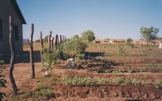 Orto comunitario