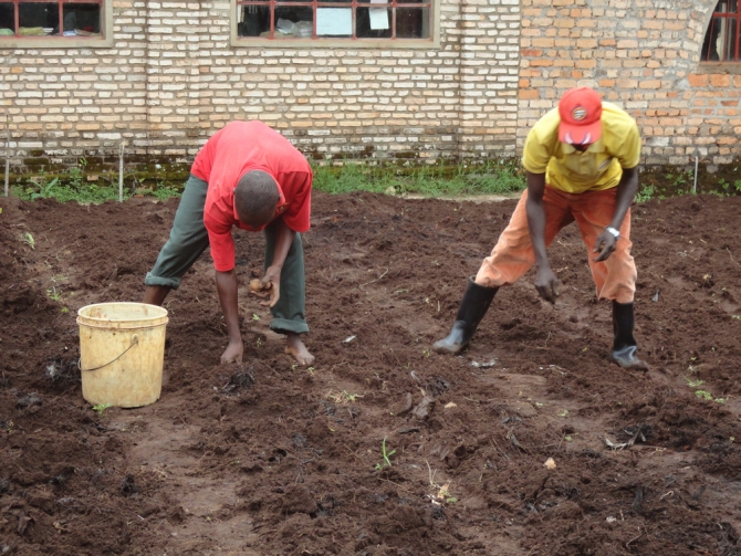 Formazione Agricola e Conservazione Ambientale a Mivo