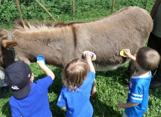Attivit&agrave; con ragazzi con difficolt&agrave; psicomotorie
