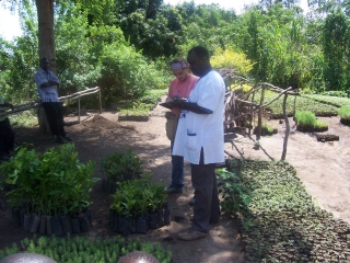 Progetto di sicurezza alimentare