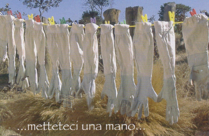 Apicoltura in un campo profughi