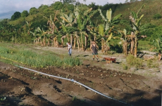 Crian&ccedil;a Livre