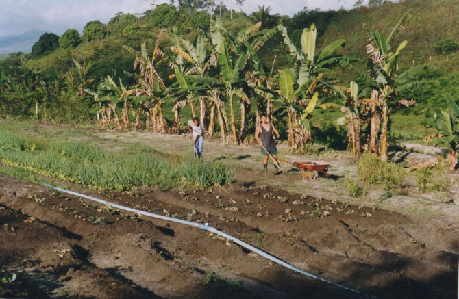 Crian&ccedil;a Livre